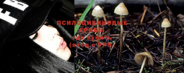 МДМА Заводоуковск